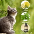 thumbnail image 2 of 12pcs Gato Disuasivo Y Perra Repelente A La Naturaleza para El Patio en () Amarillo, 2 of 4