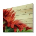 thumbnail image 2 of Designart 'Red Floral Brush Strokes On Green' Traditional Print on Natural Pine Wood, 2 of 5