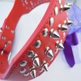 thumbnail image 4 of Dog Cat Collars with Bell and Buckle Soft Faux Leather and Adjustable for Girls Kitty, Puppy, Small Dogs, 4 of 6