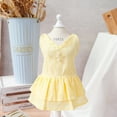 thumbnail image 4 of 2 vestidos de verano para perros, falda para cachorros y gatos, ropa de verano para mascotas (amarillo y azul), 4 of 6