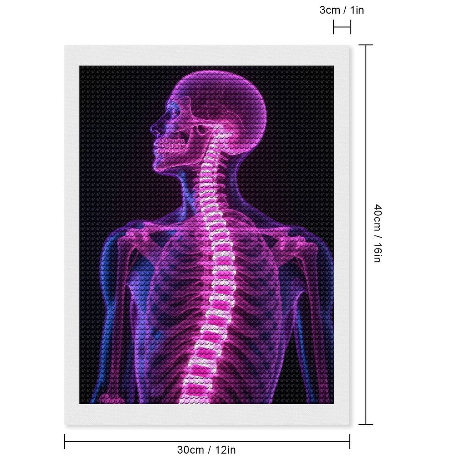 Diamond Art Kits for Adults - Skeleton Spine Anatomy Xray Glow 5d Diamond Painting for Adults, Diamond Art for Adults Beginners, Frameless Diamond Painting Kits for Adults for Home Wall Decor