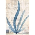 thumbnail image 3 of Vision Studio 11x14 Black Modern Framed Museum Art Print Titled - Seaweed Arrangement II, 3 of 5