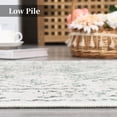 thumbnail image 5 of AOILE Washable Runner Rug – Soft Non-Slip Distressed Entryway Carpet, Stain-Resistant Low Pile Rug for Bedroom, Kitchen, Bathroom, Laundry & Hallway, 5 of 6