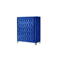 thumbnail image 1 of Acme Furniture 5 Drawers Velvet chest with Button Tufted, Blue, 1 of 3