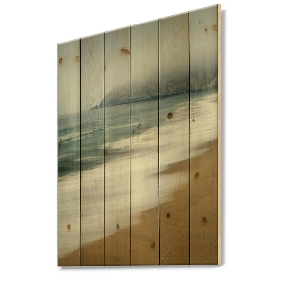 Designart 'Gray Whale Cove' Nautical & Coastal Print on Natural Pine Wood