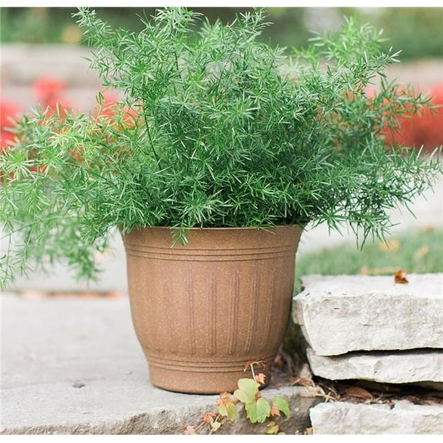 16 in. Colonnade Wood Resin Planter, Dark Earth