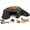 wood-3, variant on Reptile Bark Hide Cave, Resin Simulation Cork Bark Hideout, Bark Terrarium Decor, Hollow Shelter Habitat Ornament for Lizard, Gecko, Snake, Frog