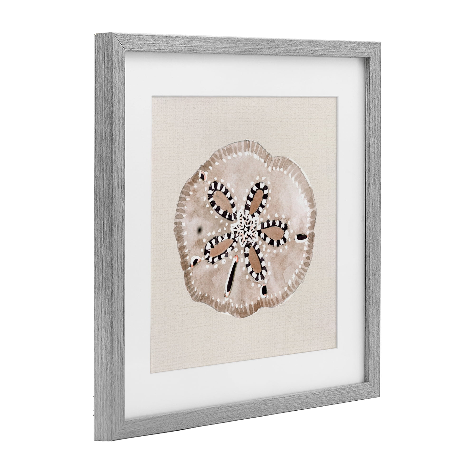 Stupell Industries Taupe & Beige Sand Dollar Gray Framed Print Under Glass, design by Lanie Loreth