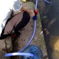 thumbnail image 5 of WRITWAA Compact Small Floating Centrifugal Water Pump for Drill Use, Dark Material, Efficient Water Transfer Solution, 5 of 5