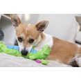 thumbnail image 3 of goDog® Dragons™ Skinny with Chew Guard Technology™ Durable Plush Squeaker Dog Toy, Small, Green, 3 of 7