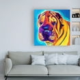 thumbnail image 3 of Trademark Fine Art 'Sharpei Big Man' Canvas Art by DawgArt, 3 of 3