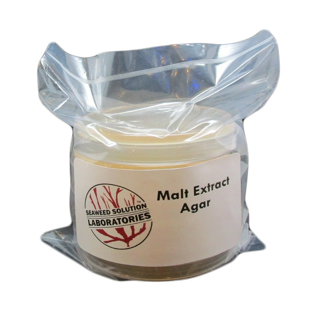 Sterile Malt Extract Agar (MEA) 5, 100mm x 15mm Plates Great For