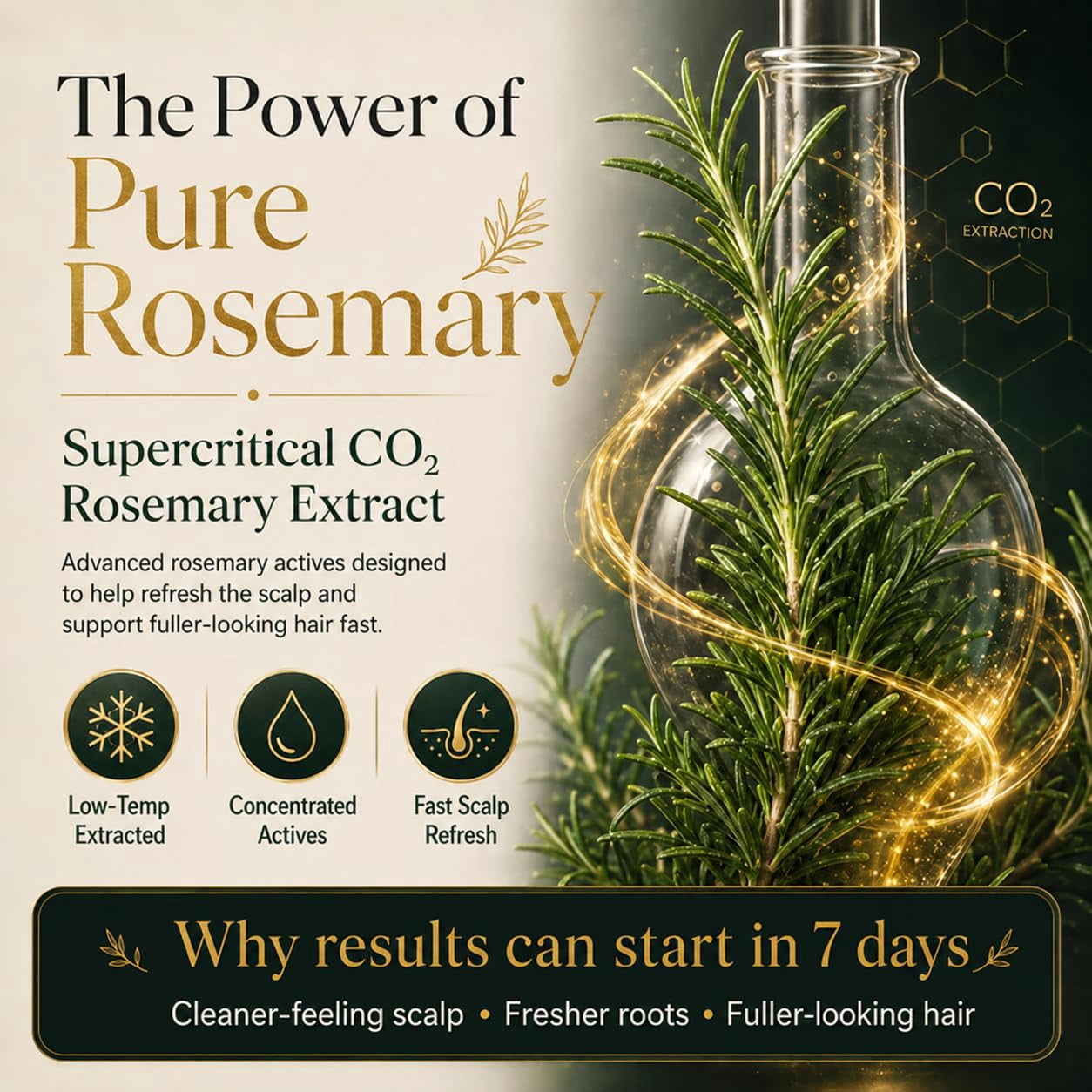 NAVOZILO Rosemary Keratin Scalp Shampoo, Professional Hair Shampoo with Hydrolyzed Keratin, Scalp Care Formula for Thicker-Looking, Stronger-Feeling Hair, for Women & Men  (1PCS)