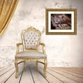 thumbnail image 3 of Debs, Emma Catherine 32x25 Gold Ornate Wood Framed with Double Matting Museum Art Print Titled - Moody Flower, 3 of 4