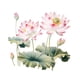 thumbnail image 4 of Adhesivo de pared de loto Macarena Decoración de pared 23,4 cm x 27 cm, 4 of 8