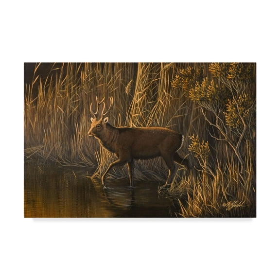 Trademark Fine Art 'Evening Rounds Sika Deer' Canvas Art by Wilhelm Goebel