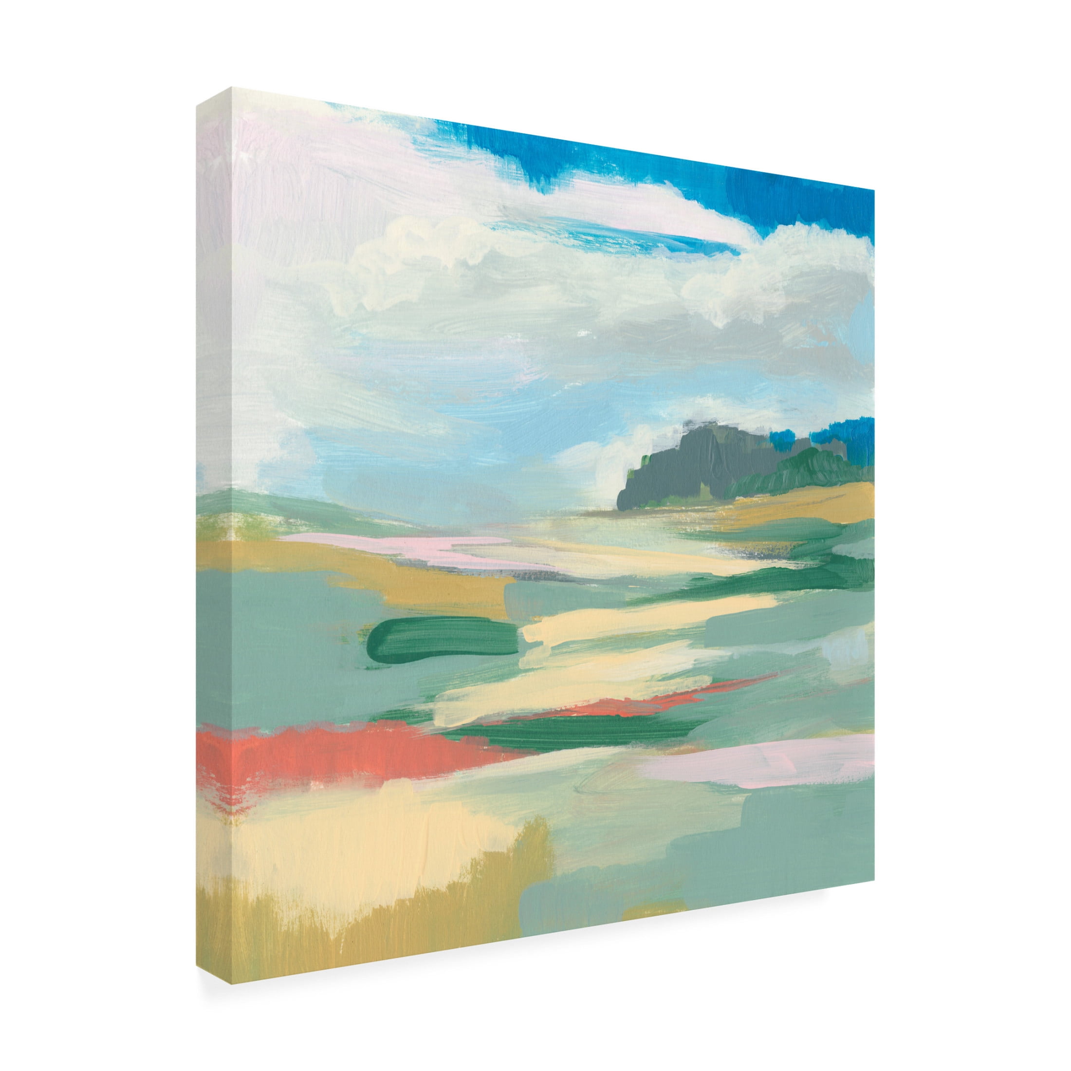 Canvas Wall Art - Jennifer Goldberger 'Sweeping Sky I' Wall Art for Living Room, Bedroom, or Office Décor by Trademark Fine Art - 24 x 24 Inches