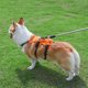 thumbnail image 4 of Arnés de elevación para perros, eslinga de apoyo y recuperación, chaleco de rehabilitación para mascotas, correas transpirables ajustables para ancianos, discapacitados, lesiones en las articulaciones, artritis, parálisis, pasear perros (talla L) Rojo Verde, 4 of 5