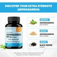 thumbnail image 4 of Sandhu’s Extra Strength Ashwagandha with Black Pepper Extract | Stress, Mood and Energy Support for Men & Women | 90 Ct, 4 of 9