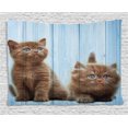 thumbnail image 1 of Animal Decor Tapestry, Baby Kitten Siblings Lovely Animals Creatures Best Friend Artwork Print, Wall Hanging for Bedroom Living Room Dorm Decor, 80W X 60L Inches, Caramel Sky Blue, by Ambesonne, 1 of 2