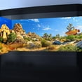 thumbnail image 4 of 48X20IN Reptile Habitat Background Rock Blue Sky Oasis Cactus Sunset and Desert Terrarium Background with 10 EVA Double-Sided Tape, 4 of 5