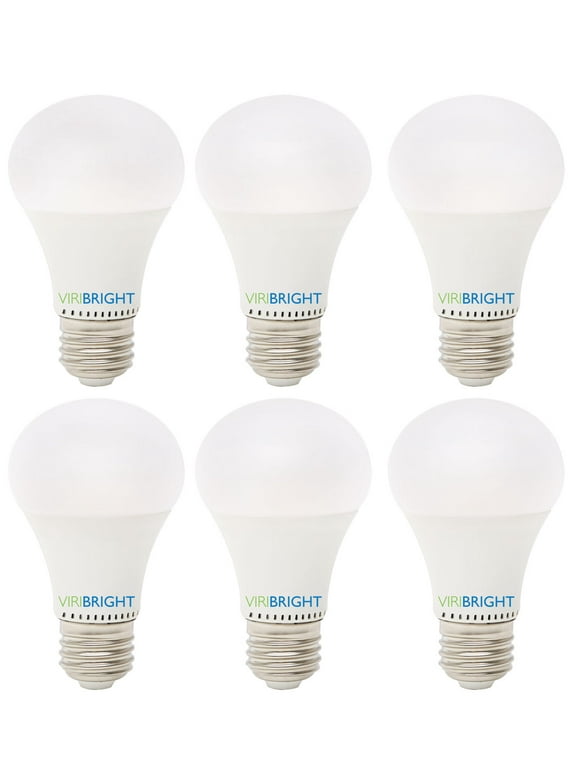 Bright White Light Bulbs in Light Bulbs