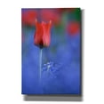 thumbnail image 1 of Epic Graffiti 'Tulip No 3' by Istvan Nagy, Canvas Wall Art, 18"x26", 1 of 2