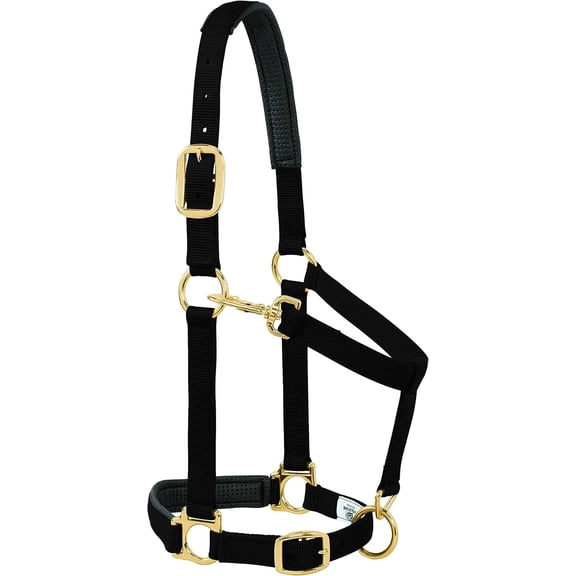 Weaver Leather Padded Halter - Adjustable Comfort for Large Horses