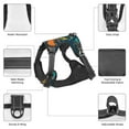 thumbnail image 6 of Lsque Hand Drawn Seamless Dog Harness, No-Pull Pet Harness with 2 Leash Clips, Adjustable Soft Padded Dog Vest with Easy Control Handle for Large Dogs-Small, 6 of 9