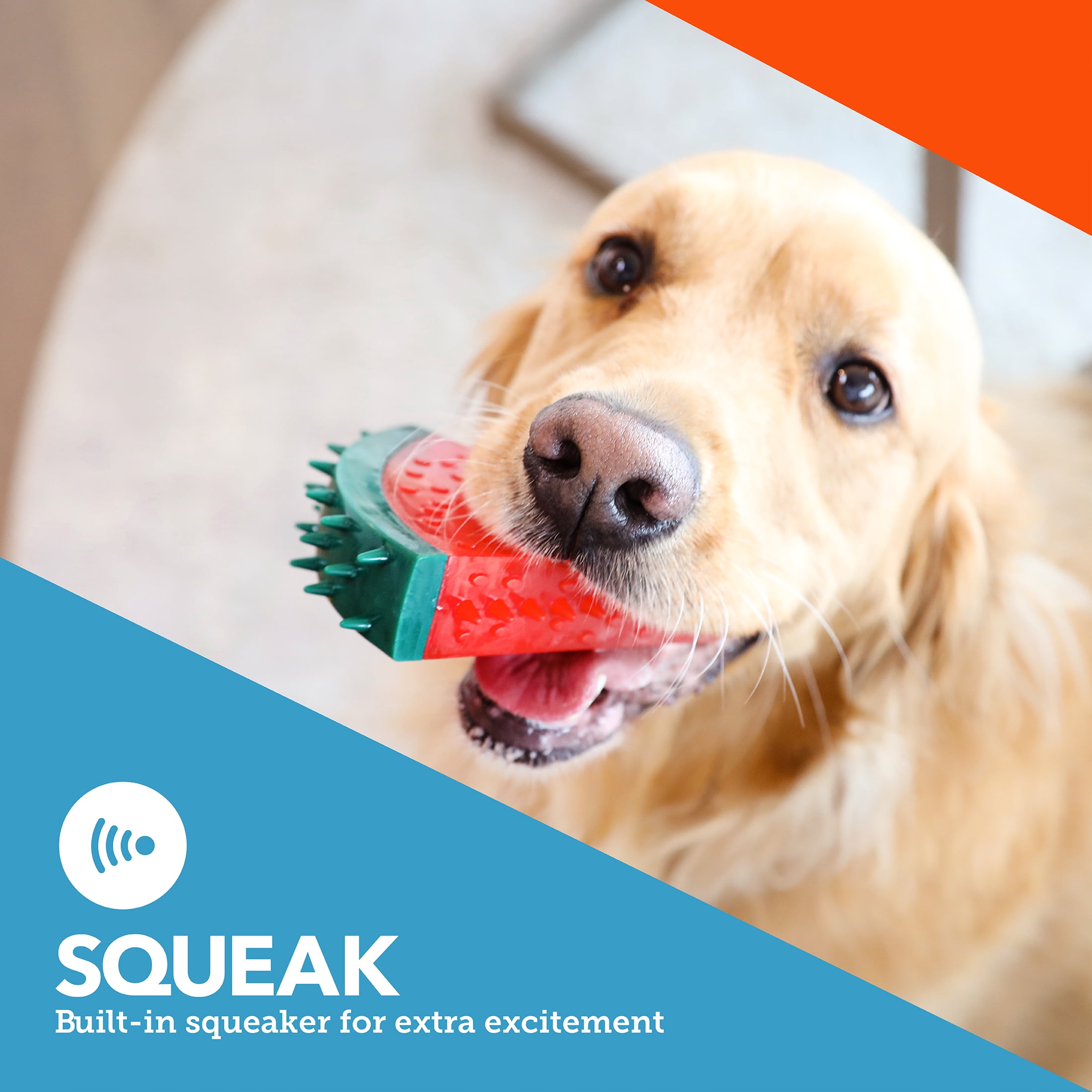 (4 pack) Vibrant Life Squeaky Fruit Dog Toy, Assorted Designs, 1 Count