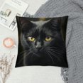 thumbnail image 2 of Patifu   Cute Black Cat Throw Pillow Covers  ,Black Kitten Kitty   Cushion Cases Decorative Pillow Cases for Couch Sofa Bedroom 12x12in, 2 of 5