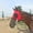 Red, variant on Fashion Horse Harness Supplies Horse Cover Windproof Eye Mask Speed Race Goggles Horse Head Cover Horse Accessories Equestrian