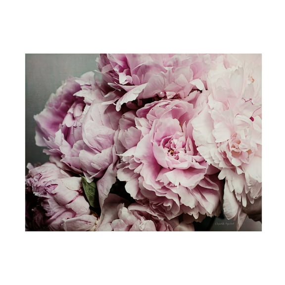 Elizabeth Urquhart 'Peonies Galore II' Canvas Art