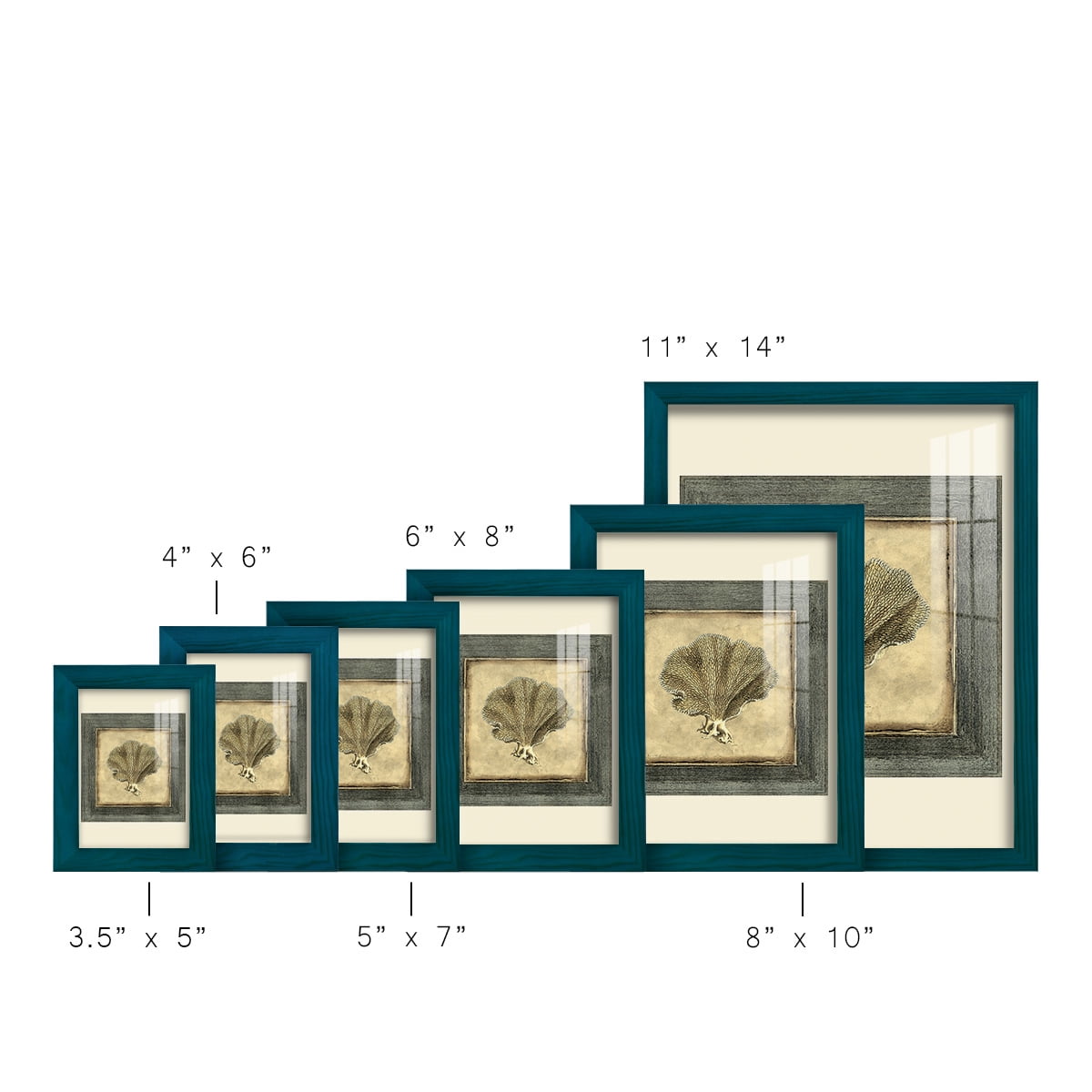 Mini Exotic Coral VI (U) - Framed Print w/glass - Ocean Blue