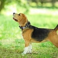 thumbnail image 1 of HONMEET Collar with Adjustable Soft PU for Small Breed Dogs and Puppies, 1 of 6