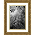 thumbnail image 1 of Stamenkovic, Goran 13x18 Gold Ornate Wood Framed with Double Matting Museum Art Print Titled - Flight, 1 of 4