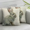 thumbnail image 2 of COMIO  Easter Decor Easter Bunny Pillow Covers Spring Decor Easter Rabbit Pillow Chusion Covers&nbsp;2pc, 2 of 6