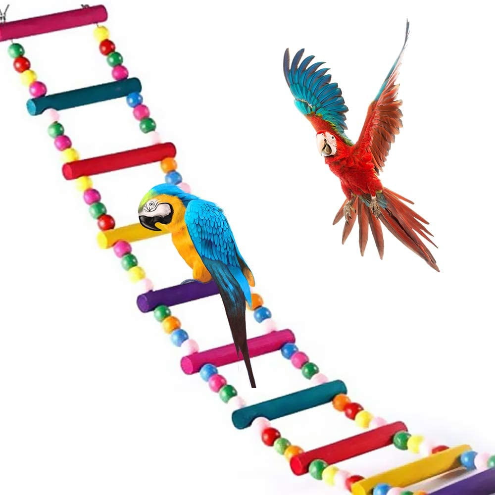 QUETO For Parrots, Ladders, Swings, Training Rainbow Bridges, For Parrots, Budgies, Conures, Cockatoos, 12 Step Ladder