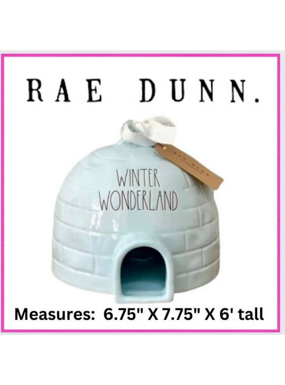 RAE DUNN Artisan Collection by Magenta Winter Wonderland igloo birdhouse
