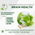 thumbnail image 6 of Brain Aid Memory Matters – Brain Health Supplement with Neumentix, 90 Capsules, 6 of 9