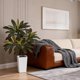 thumbnail image 5 of QinaQin Árbol artificial Dracaena de 4, 5 o 6 pies, hojas real touch y troncos multitonales, con maceta blanca alta para decoración interior, 5 of 8