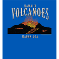 thumbnail image 2 of Adventure Society Hawaii Volcanoes Men's Blue Crew Neck Short Sleeve Tee-3XL, 2 of 2