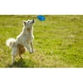 thumbnail image 5 of Dog Chew Toy Dog Toy for Aggressive Chewers Pet Interactive Toy for Medium Large Breed, 5 of 6