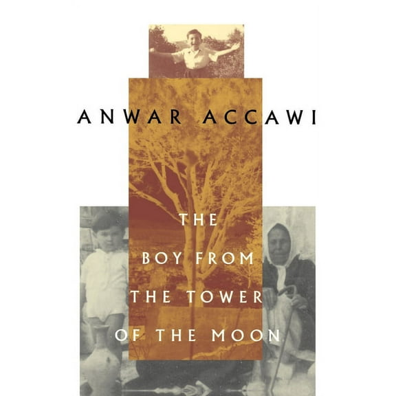 The Boy from the Tower of the Moon, (Paperback)