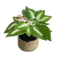 thumbnail image 2 of Faux Potted Plant in Woven Straw Basket – Assorted Leaf Styles Mini Artificial Greenery for Home Office Shelf Tabletop, 2 of 6