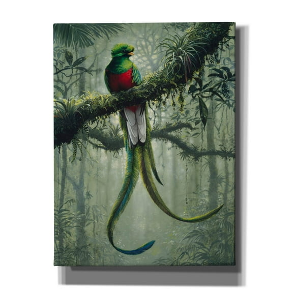 Epic Graffiti 'Resplendent Quetzal 2' by Harro Maass, Canvas Wall Art, 12"x16"