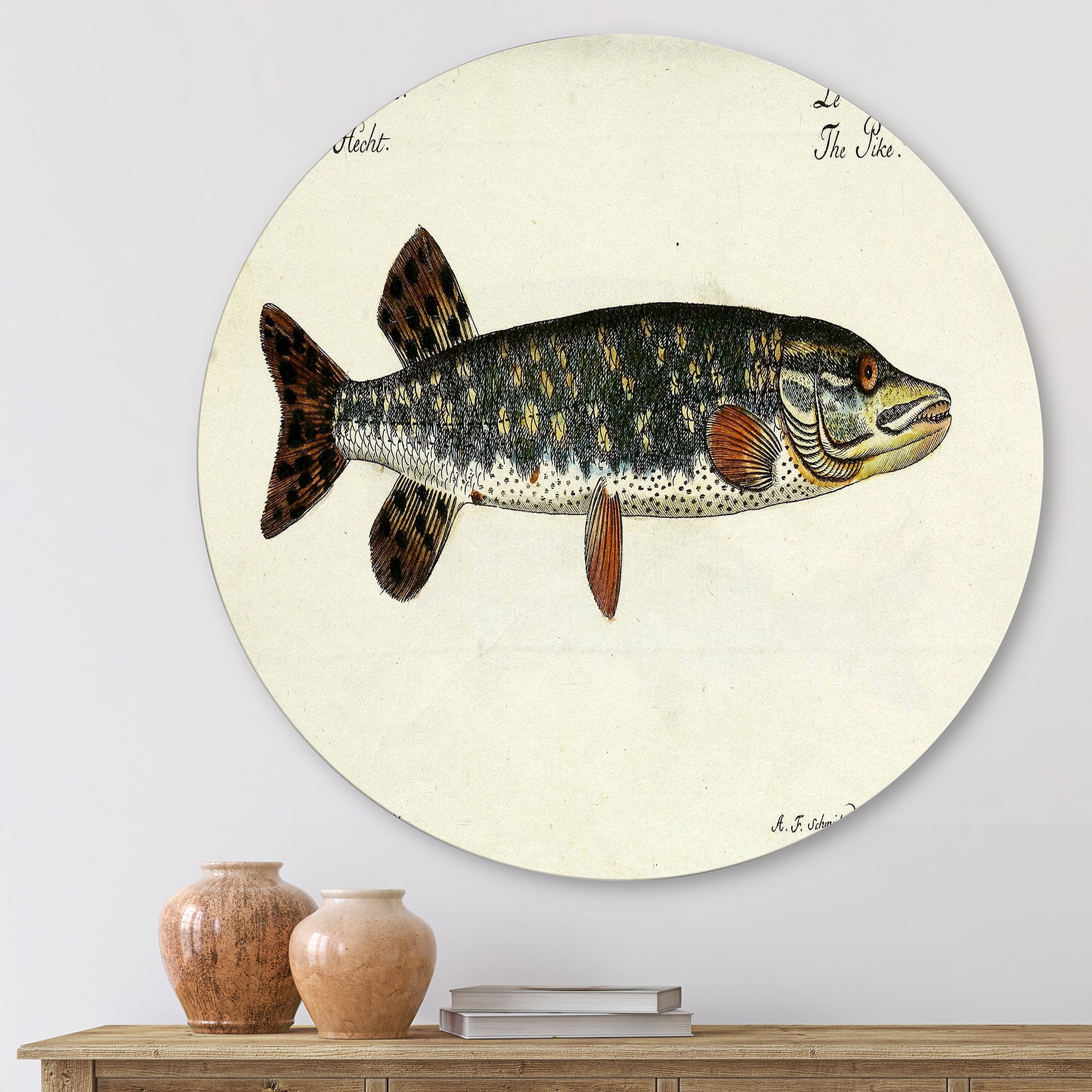 Designart 'Portrait Of A Green Fish On Beige' Nautical & Coastal Circle Metal Wall Art 23x23 - Disc of 23