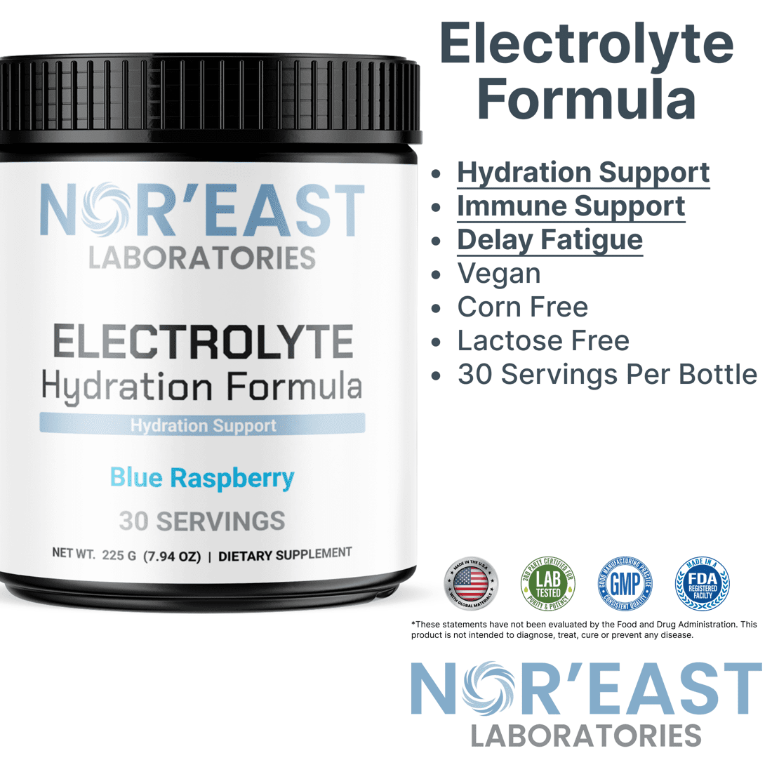 Nor'East Laboratories Electrolyte Formula – Dietary Supplement, 30 Servings