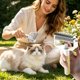 thumbnail image 4 of Pet Spray Grooming Comb Dog Cats Dematting Brush Pet Hair Remover With Spray Cats Detangler Brush Pet Undercoat Rake, 4 of 7
