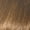 B11W Honey Brown, variant on Ebo Clairol Professional Beautiful Collection Moisturizing Color Semi Permanent Hair Color (2 Pack) (B22D Jet Black) - 3 oz each
